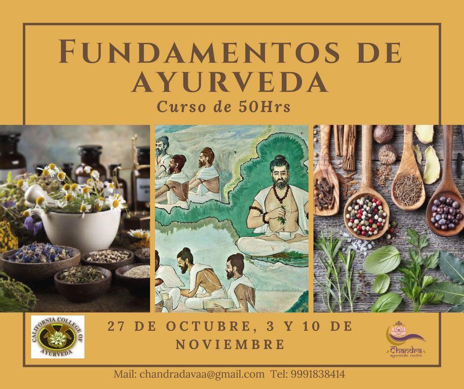 Fundamentos de Ayurveda